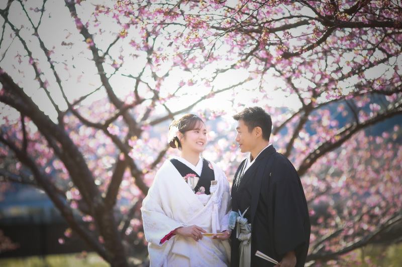 2/14撮影開始！今年も登場！　国内外から予約殺到！　2026年【河津桜フォトウェディング】
