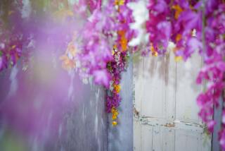 STUDIO ARC ららテラスHARUMI FLAG店_ギャラリー