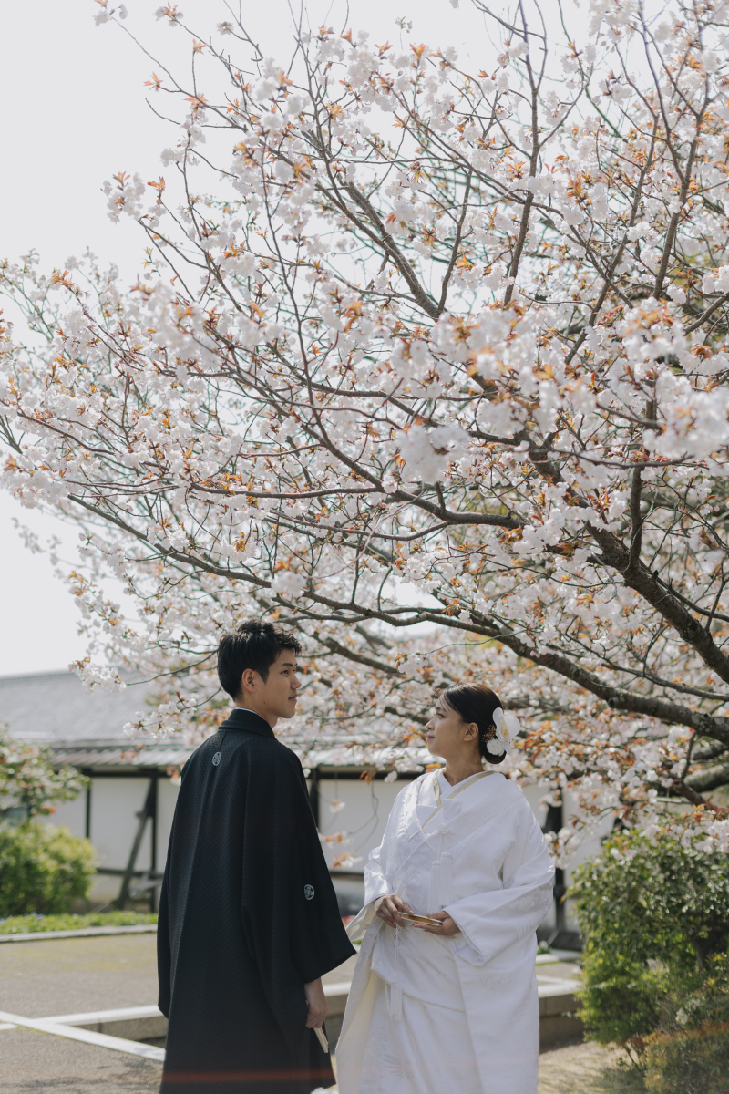 満開の春桜に包まれるロマンチックなひととき