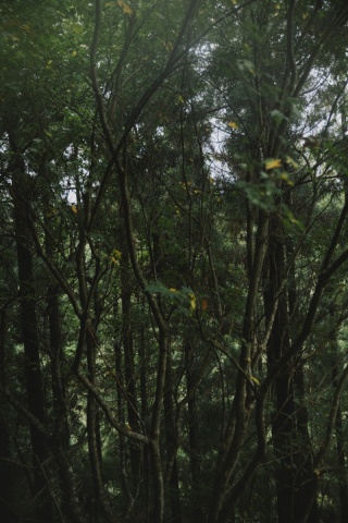 studio VOICE (スタジオ ヴォイス)_Location Photo 7