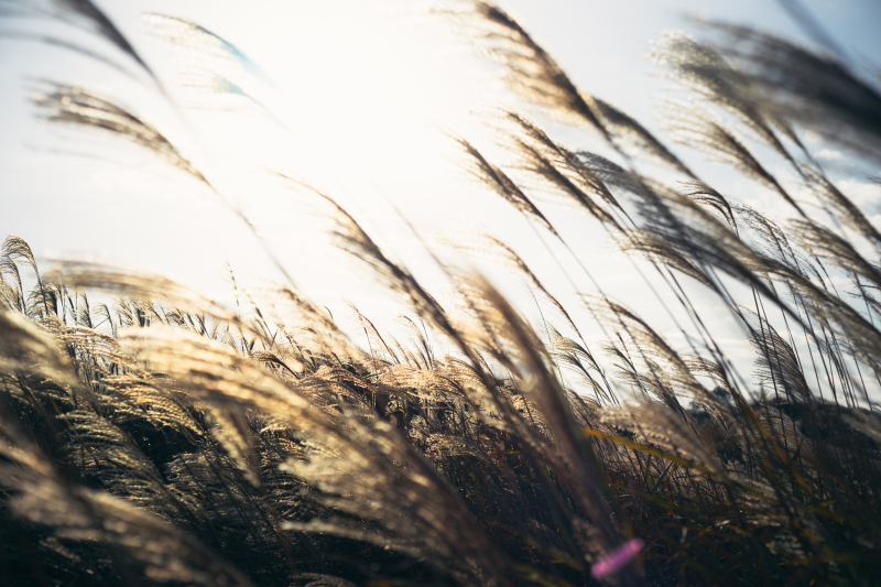 船井智章の作品