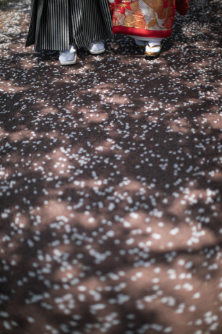 photo studio moph_おすすめピックアップフォト