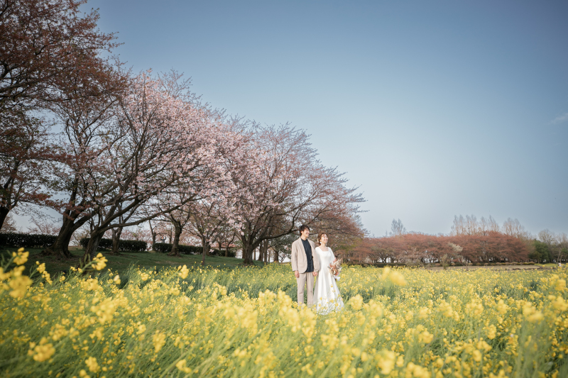 【先着5組様限定 桜フォト 洋装1着プラン 5万円OFF 早割キャンペーン】お申込み期限: 2/15(日)まで