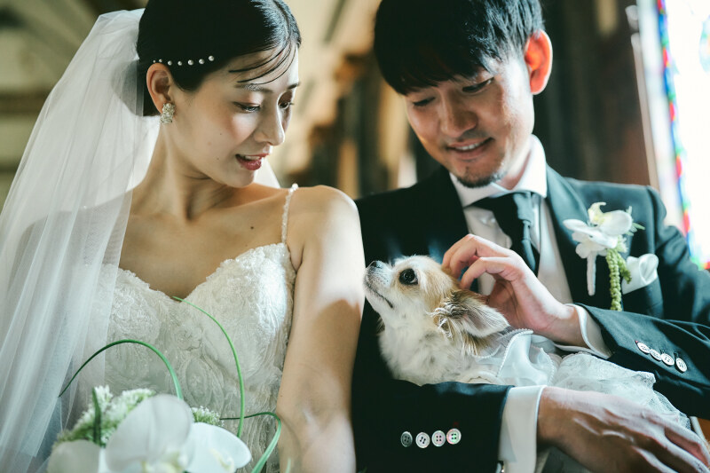 アヴェニールガーデンは全館ペットOK