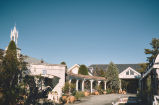 オンライン相談