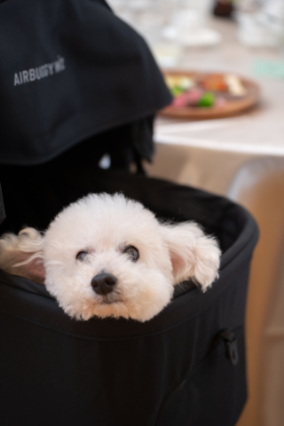 Avenir Garden アヴェニールガーデン_会食