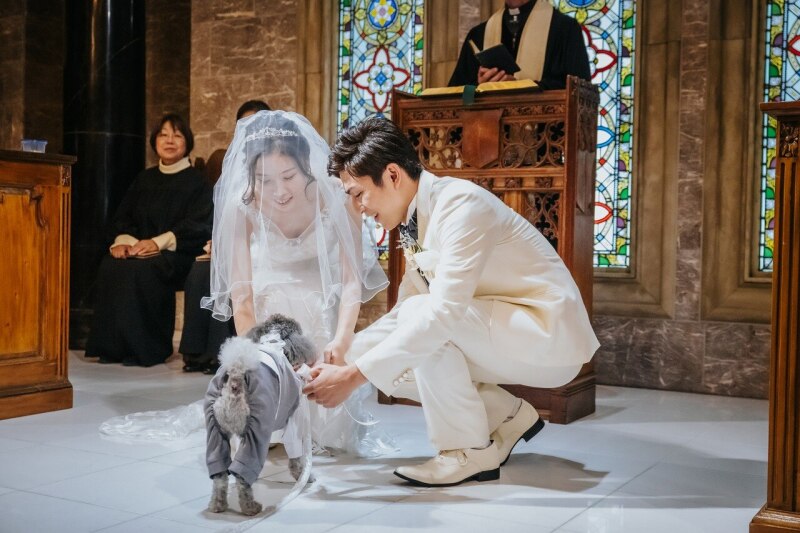 大切なペットも一緒に【4月までの撮影限定*一部土日OK】ガーデンで楽しむ桜デザート付◇ドレス1着撮影