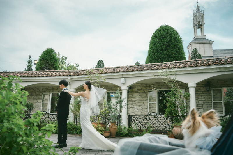 大切なペットも一緒に【4月までの撮影限定＊一部土日OK】ガーデンで楽しむ桜デザート付◇ドレス1着撮影