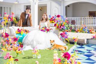 mimi._ペットフォト