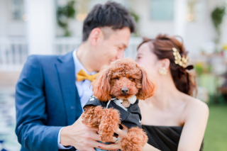 mimi._結婚式場撮影