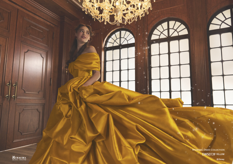 【夢の国ドレスフォトプラン】