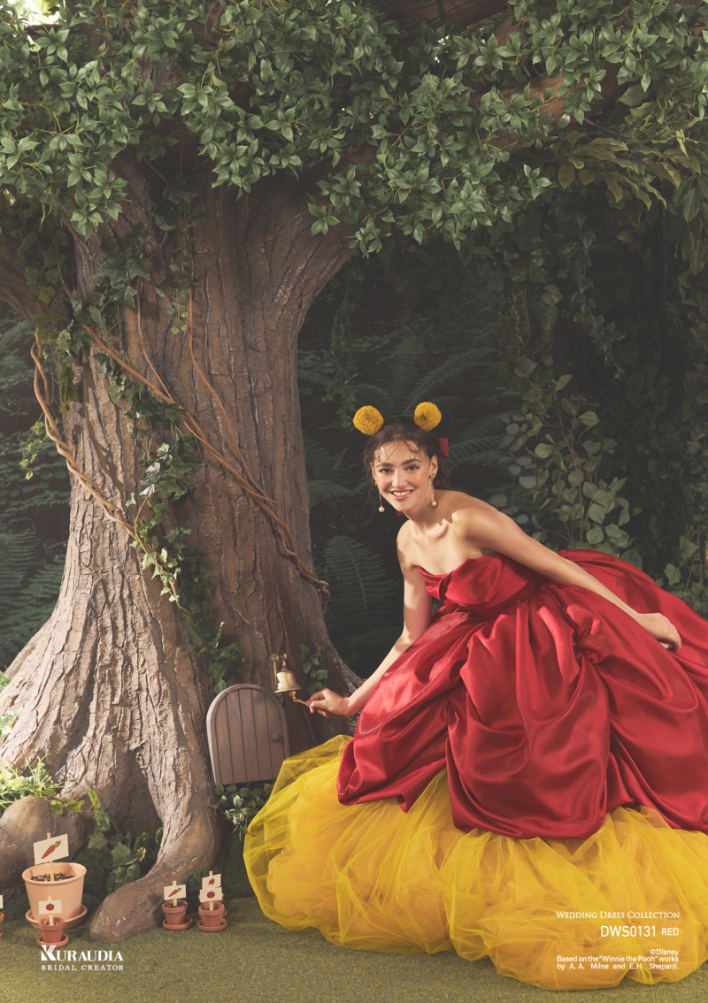 【夢の国ドレスフォトプラン】