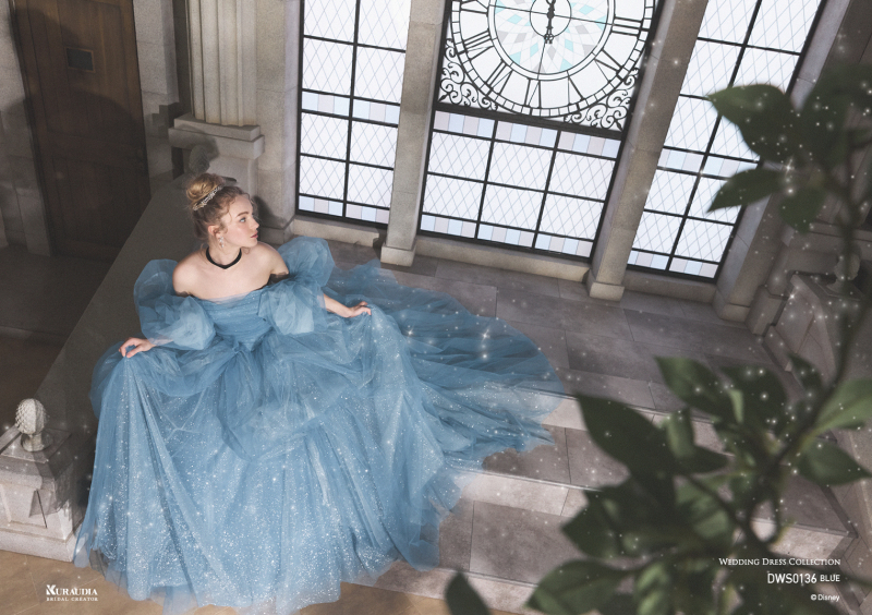 【夢の国ドレスフォトプラン】