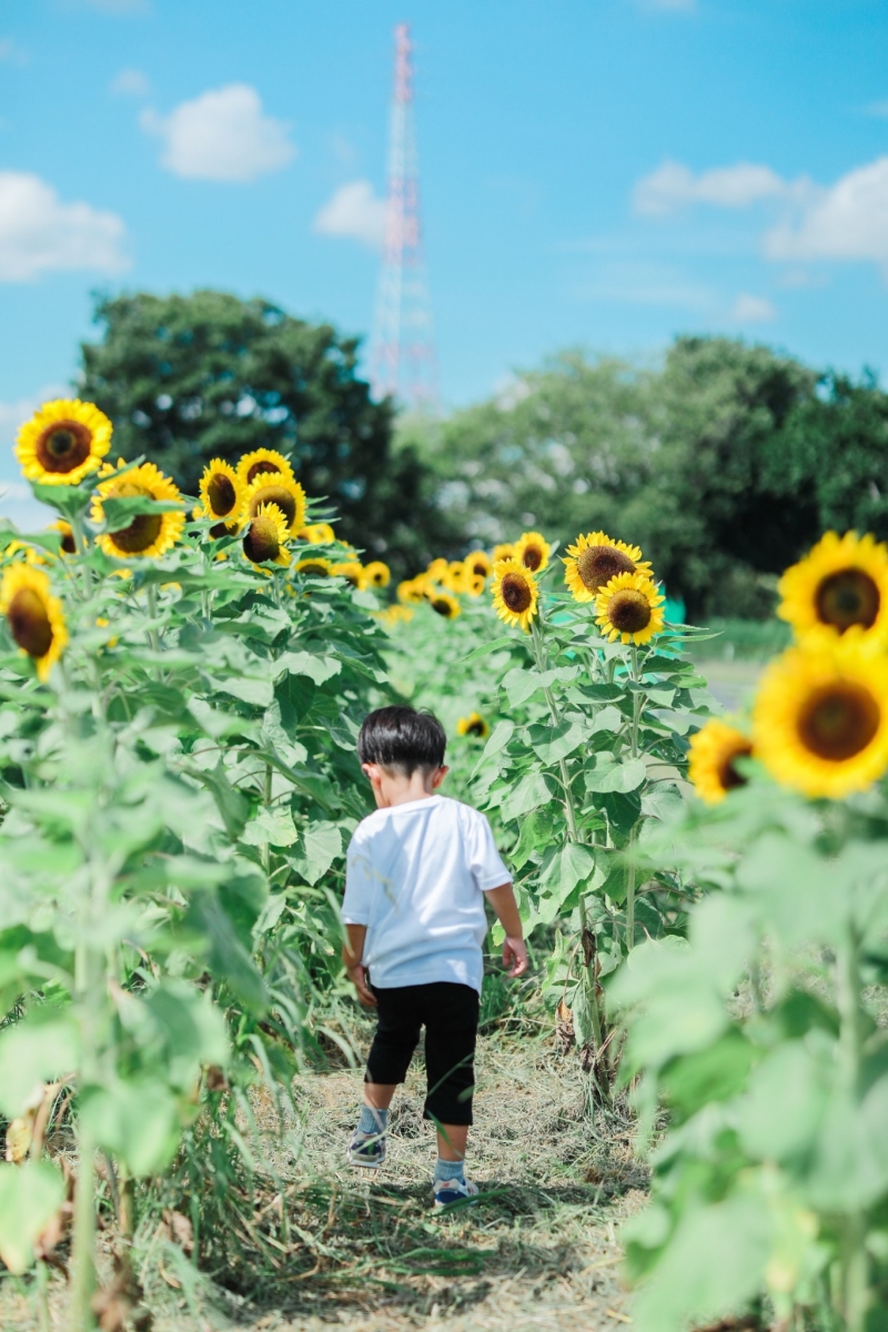 【キッズフォト*七五三やバースデーフォトなど】ご自宅での撮影もOK★毎月2組限定!2万円OFFキャンペーン