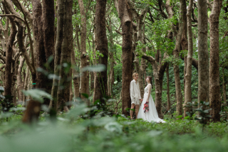 みゃーくふぉと_森