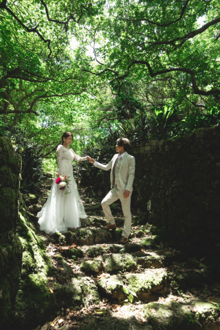 みゃーくふぉと_森