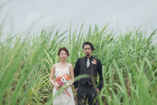 みゃーくふぉと_さとうきび畑