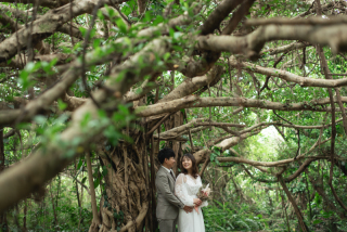 みゃーくふぉと_森