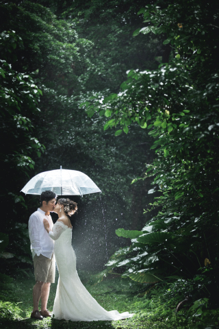 みゃーくふぉと_森