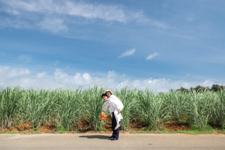 みゃーくふぉと_pickup photo