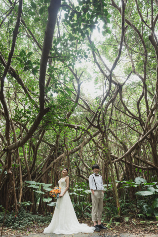 みゃーくふぉと_森