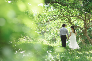 みゃーくふぉと_森