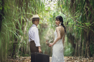 みゃーくふぉと_森