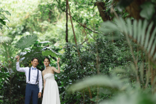 みゃーくふぉと_森