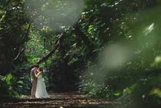 みゃーくふぉと_森