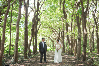 みゃーくふぉと_pickup photo