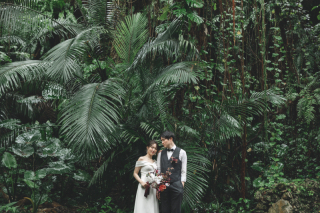 みゃーくふぉと_森