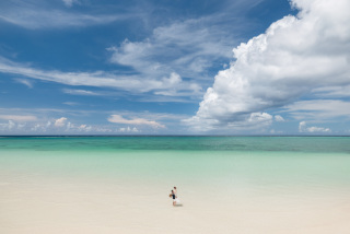 みゃーくふぉと_pickup photo