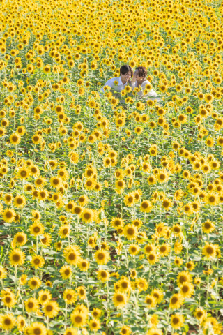 みゃーくふぉと_pickup photo