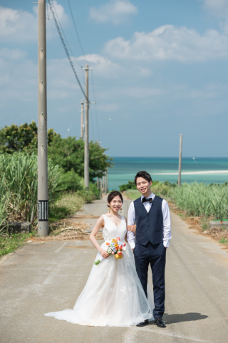 みゃーくふぉと_道