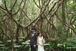 みゃーくふぉと_森