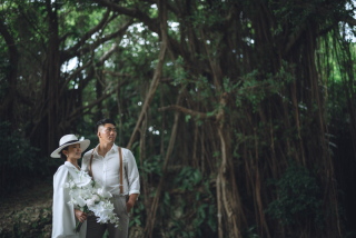 みゃーくふぉと_森