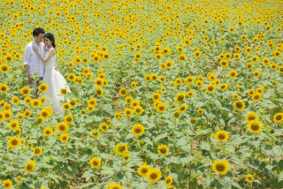 みゃーくふぉと_その他ロケーション