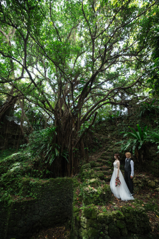 みゃーくふぉと_森