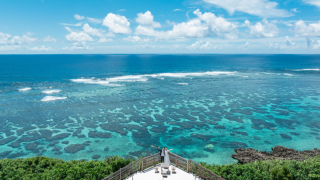 みゃーくふぉと_ドローン