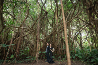 みゃーくふぉと_森