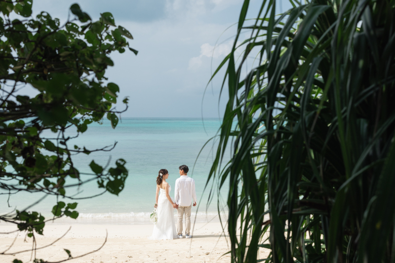 大迫力のガジュマルバック☆3時間程度の２ヶ所撮影プラン☆１５０カット保証 ドローン撮影付き