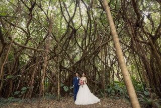 大迫力のガジュマルバック☆3時間程度の２ヶ所撮影プラン☆１５０カット保証 ドローン撮影付き