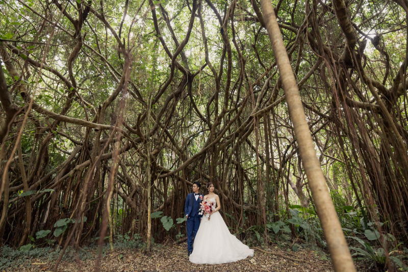 大迫力のガジュマルバック☆3時間程度の２ヶ所撮影プラン☆１５０カット保証 ドローン撮影付き