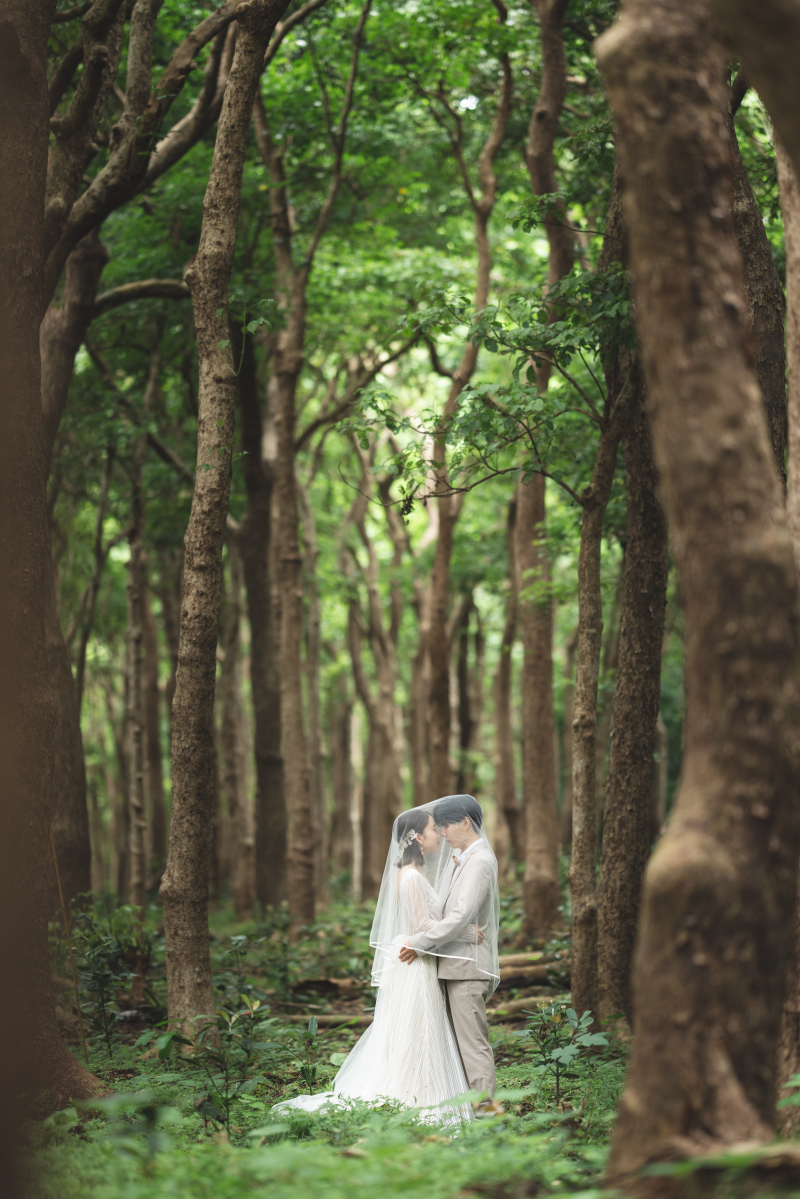 大迫力のガジュマルバック☆3時間程度の２ヶ所撮影プラン☆１５０カット保証 ドローン撮影付き