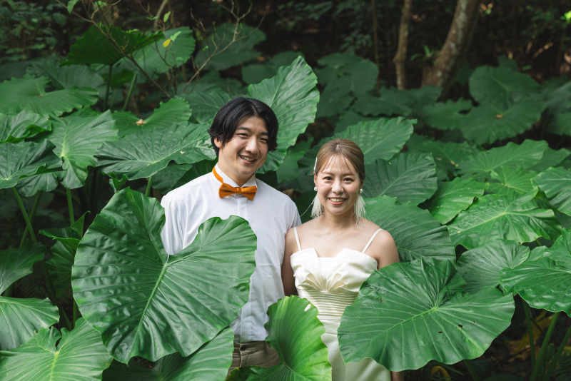 大迫力のガジュマルバック☆3時間程度の２ヶ所撮影プラン☆１５０カット保証 ドローン撮影付き