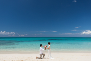 ドローン写真＆ドローン動画付、全データ納品