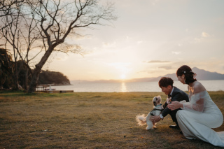 N wedding hiroshima