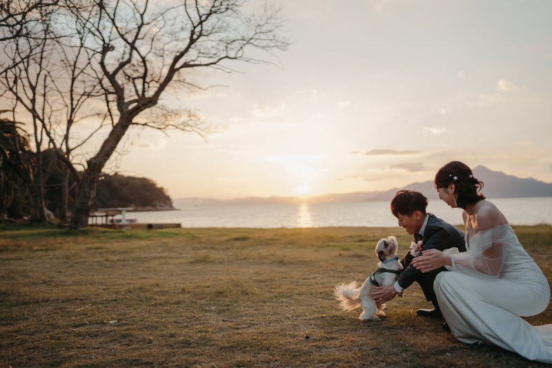 N wedding hiroshima_ペットと一緒に撮影できる