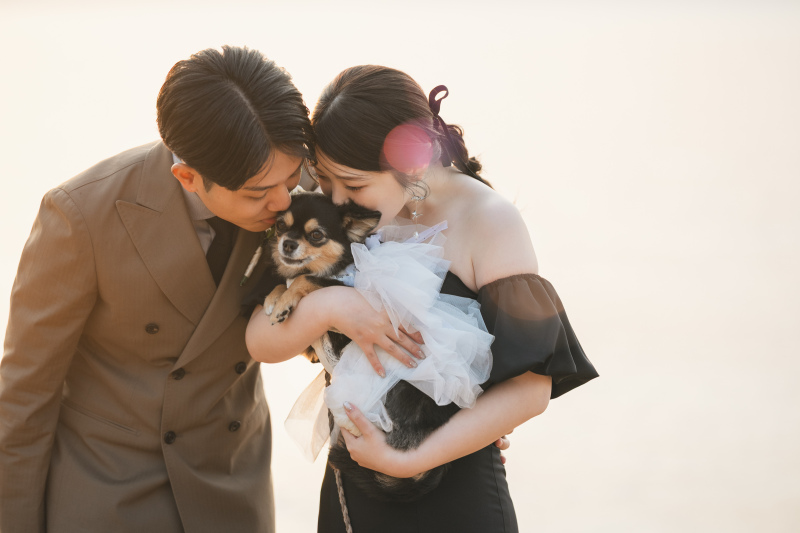 N wedding hiroshima