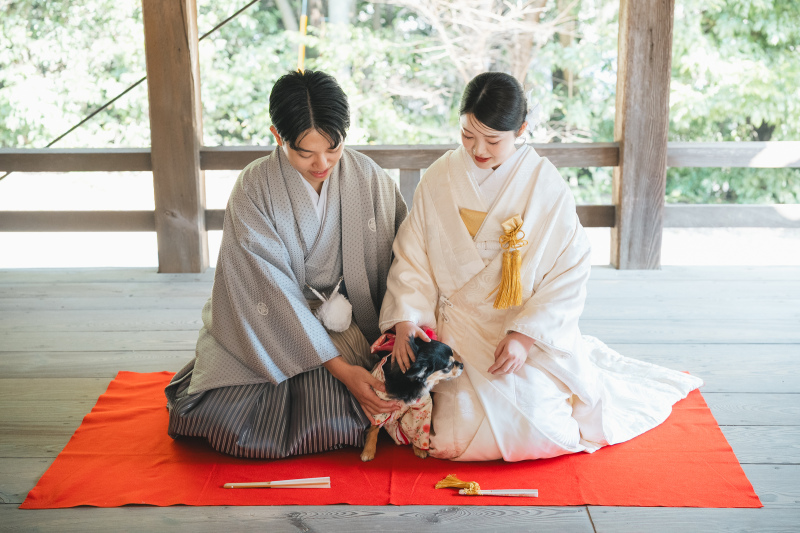 【結】ペットと撮影plan｜和装1点ドレス1点｜神社+ロケ2ヵ所｜ オープニングムービー撮影付き★